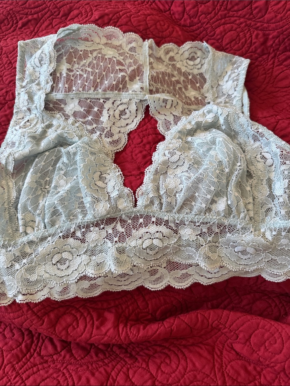 Free People Lace Bandeau Bralette - Pale Blue